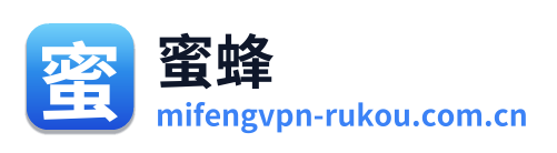 蜜蜂加速器下载入口